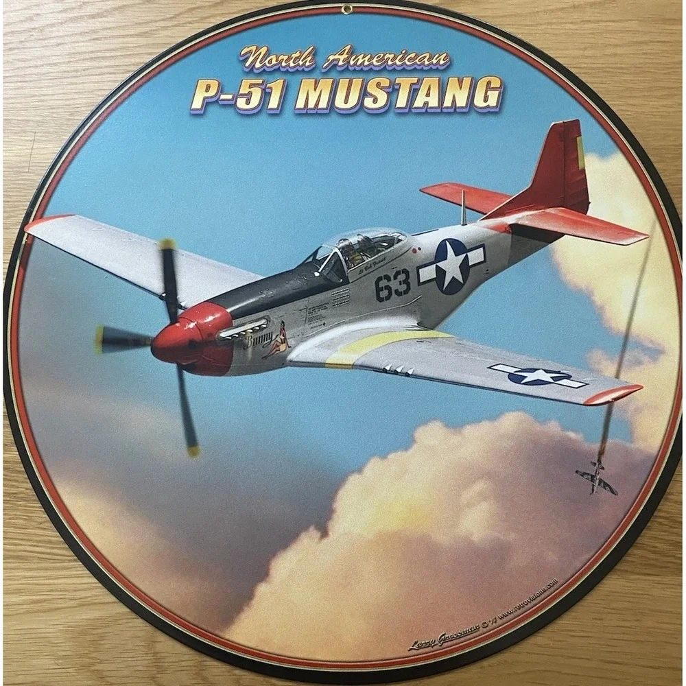 P-51 Mustang 14